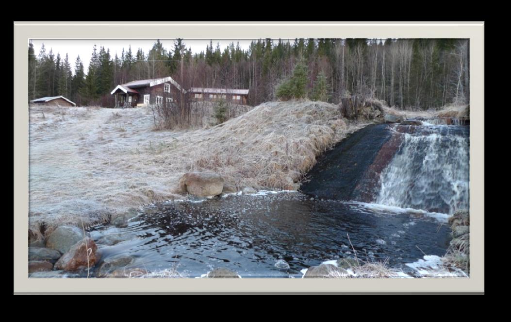 Verdiene som gjennomstrømmer de mellommenneskelige møtepunktene på Vidsyn Naturgård Vennskap Inspirasjon Deling Vi åpner hjertet og får nye vennskapsbånd på Vidsyn Vi inspirerer og oppmuntrer