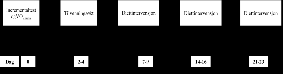 Figur 3.1. Oversikt over pretesting og hovedtesting. Diettintervensjonene ble gjennomført i randomisert rekkefølge. 3.3 Pretesting 3.3.1 Incremental- og VO 2maks -test En uke før første diettintervensjon, møtte FP på laboratoriet for en incremental- og VO 2maks -test.