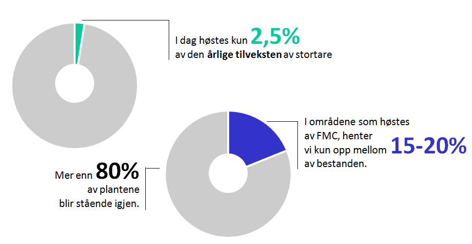 En stor og lite utnyttet, fornybar ressurs 50-60 mill tonn biomasse og i vekst Storm og uvær