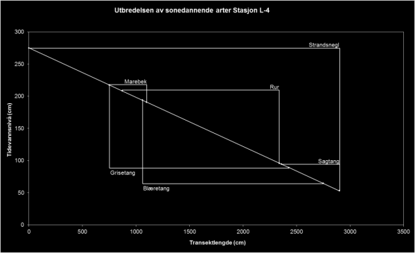 Figur 43. Utbredelsen av sonedannende arter på Stasjon L-4, Oldervik, i cm høyde over sjøkartnull. Data for tidevannshøyde er tatt fra Meteorologisk Institutt (www.met.no). 8.3.1.