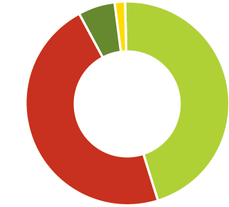 To typer innenlands energiforbruk: Brutto og netto Utfordringen: En tofrontskrig Bio 14 TWh