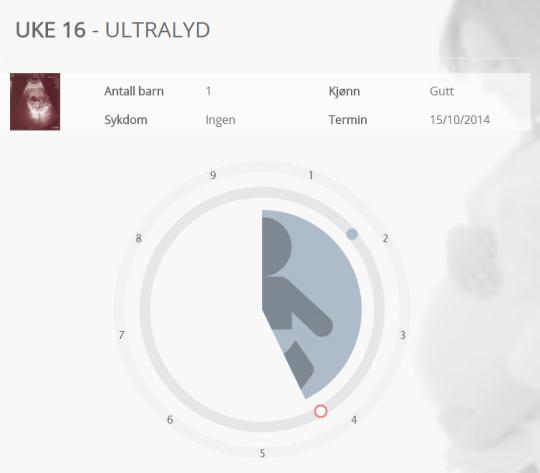 På bakgrunn av designerens tidligere ønske er det inkludert mulighet for de ansvarlige å legge til et stillbilde av en ultralyd i hendelsesdataene.