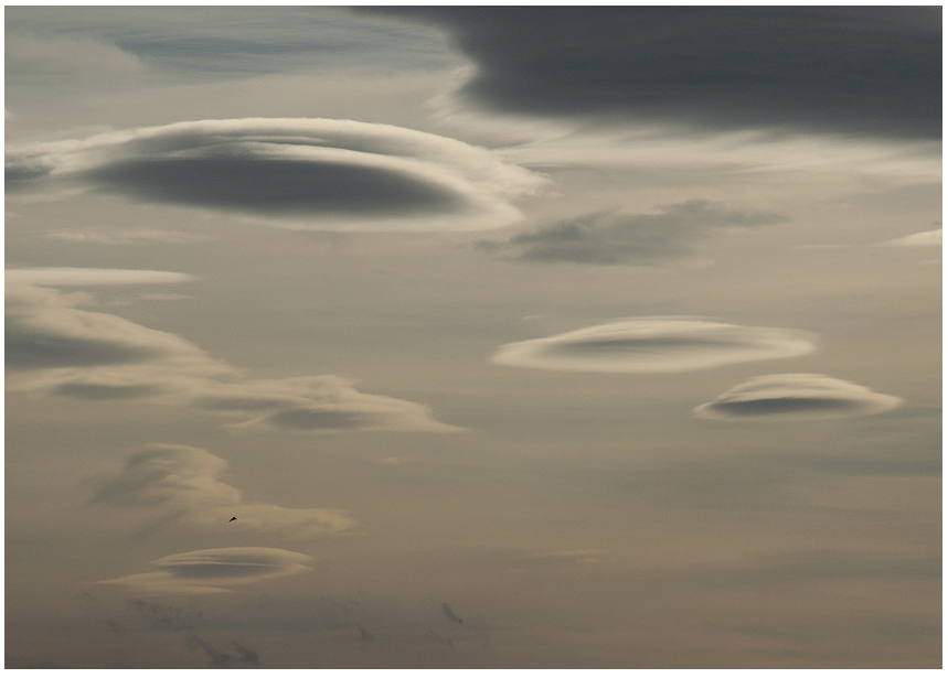 TEORI PP2 SIDE 28 1.9.5 Bølgeskyer Altocumulus Lenticularis En annen form for Cumulus skyer som finners er Altocumulus Lenticularis. Dette er skyer som er dannet av bølgevind. (Se Bølgeforhold).