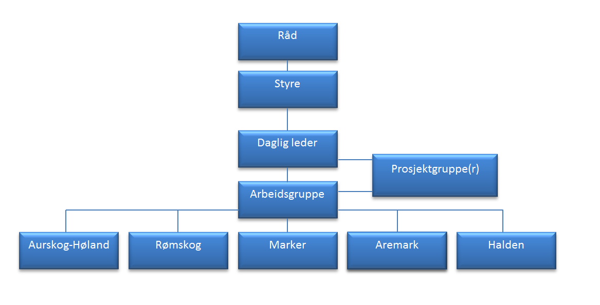 - styrets, daglig leder og arbeidsgruppens roller bør avklares ytterligere - ordningen med fast ansatte bør vurderes avviklet, og det bør kjøpes/leies inn tjenester etter behov, med klart definerte
