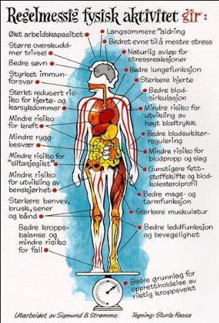 Barnasridderveka Beitostølen Veke 3 kvart år. Skileik og sosialt fellesskap Info på bhss.