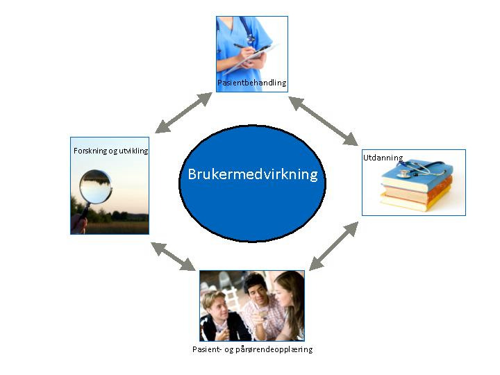 Brukermedvirkning Handlingsplan -2016 Brukermedvirkning