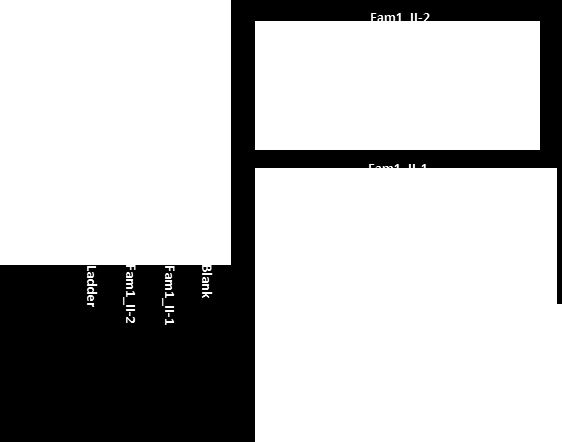 Figur 15. Fragmentstørrelse etter fragmentering av DNA.