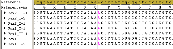 LTBP4 For LTBP4 ble det observert innskudd av en G i posisjon 41123093 på kromosom 19 etter storskalasekvenseringen. I forhold til referanse NM_001042545 kunne den annoteres c.