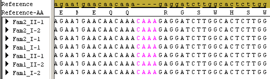 Figur 21. Insersjon i PKD1L3. Figuren viser insersjon av CAAA (rosa font) hos alle pasientene i forhold til referansen som er merket med brun bakgrunn. 5.4.