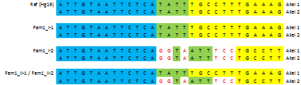 GPRC6A I genet GPRC6A ble det observert to heterozygote insersjoner etter storskalasekvensering.