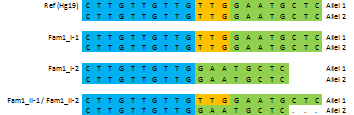 familie 2 hadde noen av disse delesjonene. Sekvens for referanse samt forsøkspersonenes (familie 1) to alleler er vist skjematisk i Figur 25. Figur 25. Delesjoner i GPRIN1.