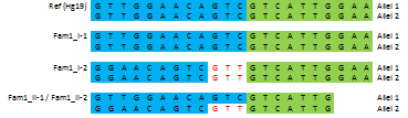 Sangersekvensering av HAVCR1 viste at far i familie 1 hadde insersjonen, som ble påvist hos de syke barna ved storskalasekvensering, i homozygot form. Mor i familie 1 hadde ikke insersjon.