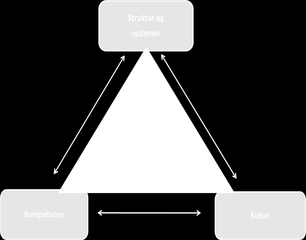 Sikkerhet og beredskap som en del av helhetlig risikostyring