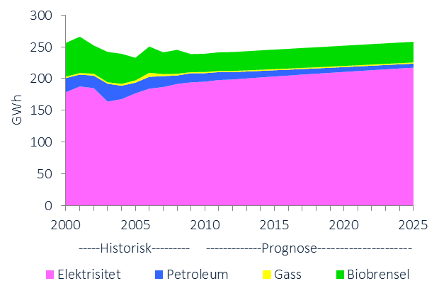 UTVIKLINGSTREKK I ENERGIBRUK I årets utredning presenteres kun oppdaterte tall for elektrisitet. Dette er fordi det ikke finnes statistikk for øvrige energibærere fra årene etter 2009.