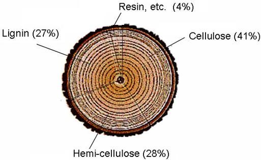 Anvendelser av lignocellulose - basis i fiberstruktur og/eller fiberkjemi -