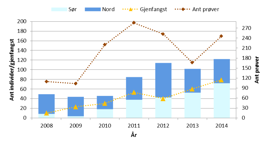 Figur 34. Antall individer identifisert i hele Norge fra DNA-analysene i 2008-2014. Antall fungerende prøver (høyre akse) og gjenfangstraten i form av antall tidligere kjente individer er angitt.