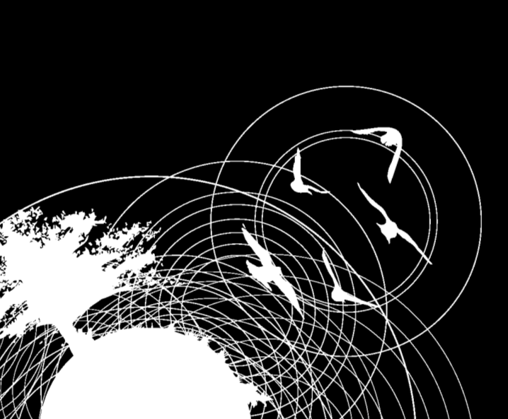 Fremmede arter og klimaendringer -utfordringer i de