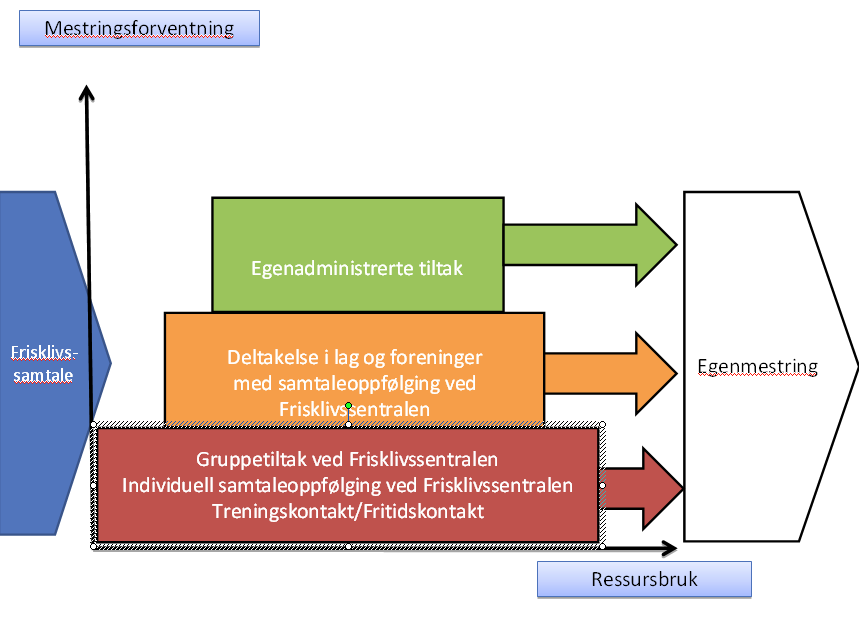 Innsatsområder i 1.