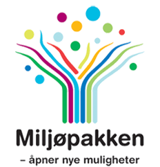 Bruk av ITS i byenes miljøpakker - Miljøpakken i