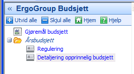 5 Regulering av årsbudsjett 5.1 Regulere (justere) budsjettposter Etter at budsjettet er godkjent, fortsetter videre behandling av årsbudsjettet i budsjettreguleringsbildet.