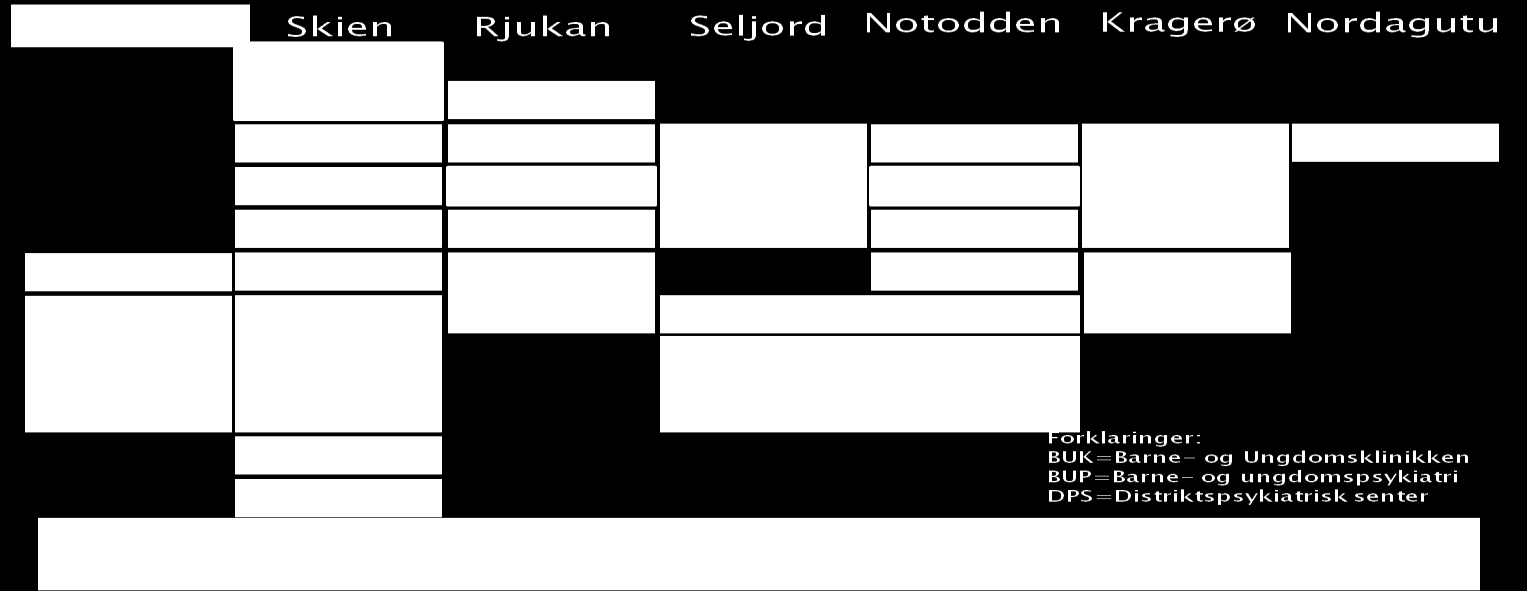 9.3 Scenario 2 9.3.1 Faglig evaluering Somatikk Faggruppene har vurdert at scenario 2 har middels faglig og organisasjonsmessig bærekraft.