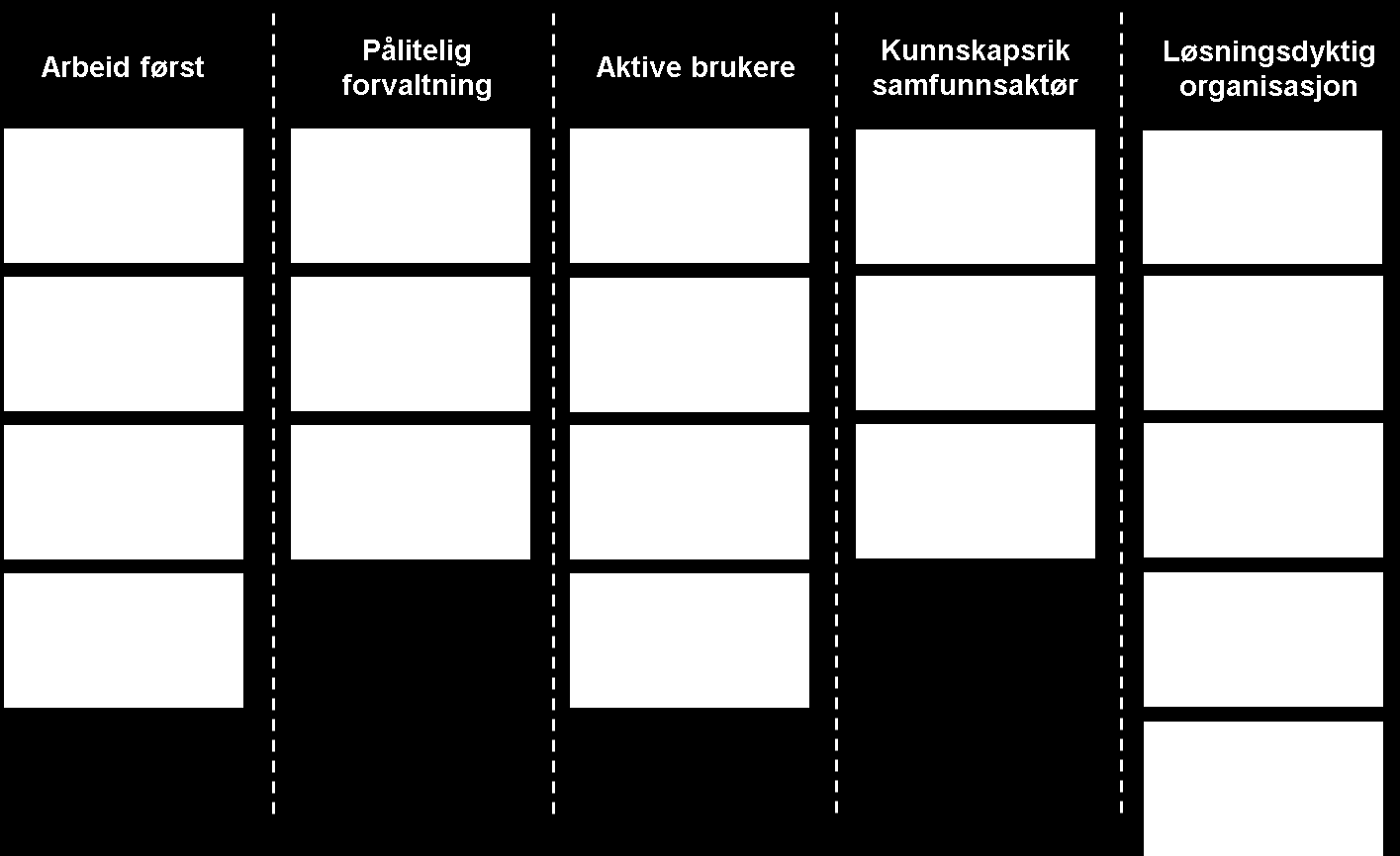 Innsatsområder og