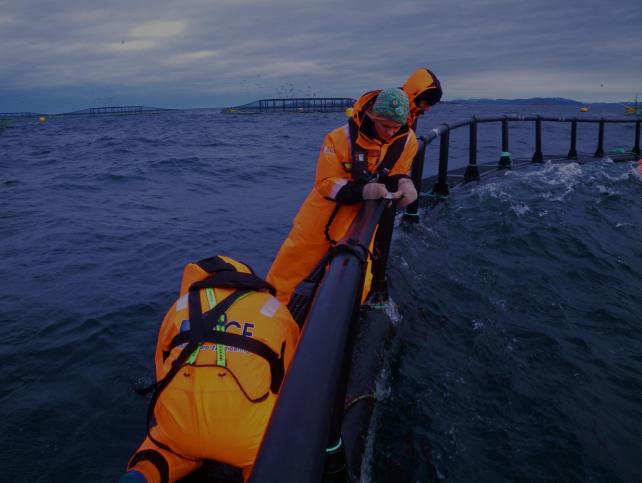 Eksponert havbruk Teknologi (offshore inspirert) Økonomi Logistikk fôr og fisk Miljøinteraksjoner og bærekraft Overvåkning