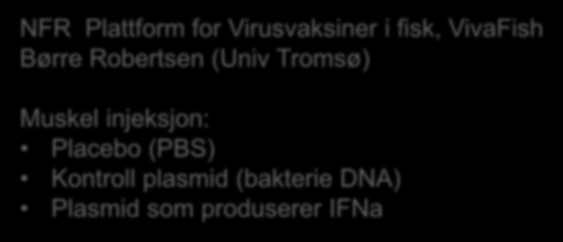 Statistisk Meta Analyse: Sammenligning med andre forsøk FHF Multifactorial disease NFR Plattform for Virusvaksiner i fisk, VivaFish Børre Robertsen (Univ Tromsø) Muskel injeksjon: Placebo (PBS)