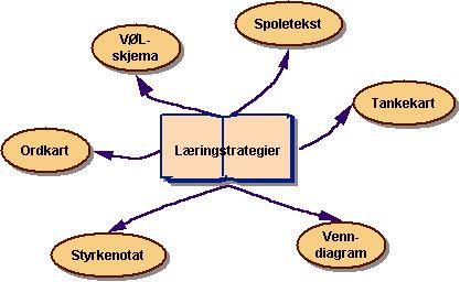 Lærer: Jeg kan mye om