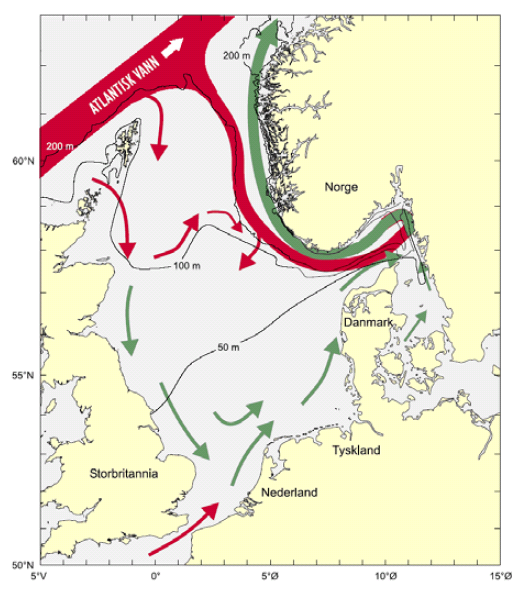 Figur 4.1: Skjematisk kart over de viktigste vannstrømmene i Nordsjøen og Skagerrak.