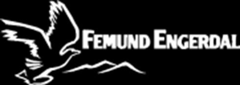 Destinasjon Femund Engerdal og prosjektet: DFE et nettverk med 70 medlemsbedrifter Driver felles markedsføring og produktutvikling Norge Universelt Utformet innen 2025.