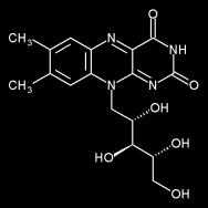 basert fôr (Dewhurst, 2003a). Den oksidative stabiliteten til melk korrelerer godt med nivået av α- tokoferol, spesielt gjelder dette for lipidene i fettkulemembranen (Frankel, 1998) Figur 7.