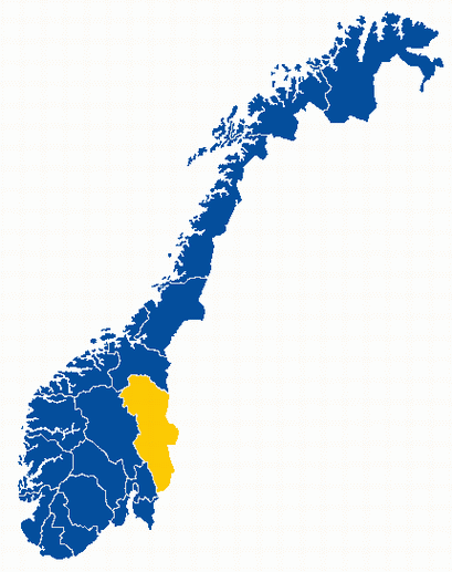 Sør-Østerdal : Samlet: - Ca 35.000 innb. - Ca 10.