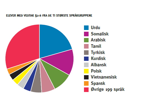 Elever med svake norskspråklige ferdigheter Om lag 14 000 elevere får særskilt språkopplæring i Osloskolen, og hvert år begynner ca.