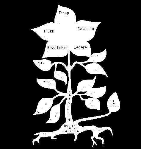 Litt om speideren Organisasjon hvem og hvor er vi? Inndeling Flokk-tropp (patruljer)-gruppekrets-nsf Årskontingent kr.