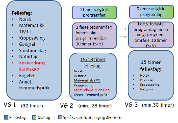 Interesser Mestring Fag som gir best mulig karaktersnitt Videre studier krever bestemte fag Rådgivning- Valg av fag/programområde Ingen spesielle interesse, men liker og mestrer realfag godt og vil