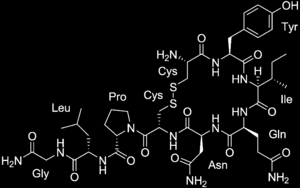 Oxytocin Peptid med 9 aminosyrer, identifisert og syntetisert i 1953 (Nobelpris).