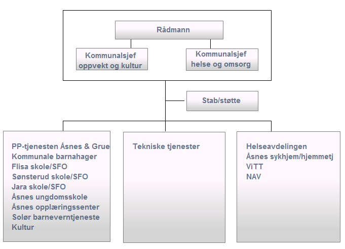 Åsnes kommune er administrativt organisert i en kombinasjon av 2- nivåmodell. Det er rådmannen (inkl. kommunalsjefene) og virksomhetslederne som har det formelle beslutningsnivået.