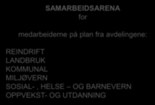 Intern organisering av Plan SAMARBEIDSARENA for medarbeiderne på plan fra avdelingene: