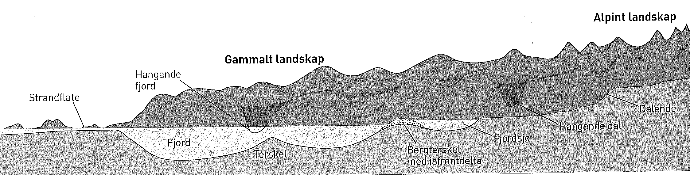 Vestlandet og Nord Noreg har lange (djupe) fjordar og korte dalar Årsak: Pga. at vestblokka heva seg i tertiær har denne vert utsatt for størst erosjon.