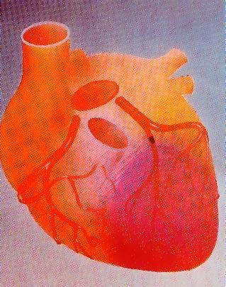 Trombolyse og / eller PCI (behandle grunnsykdommen) Ved mistanke om akutt koronar ischemi som årsak til hjertestansen ta straks 12-avlednings EKG ved STEMI