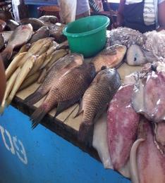2011 2015 Lokalt Tilapia foretak utviklet Avl Klekkeri Påvekst Høsting Distribusjon Marked Stamfisk import