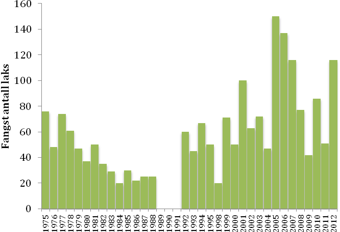 Fangstene har variert mellom 20 og 160 laks i året. Gjennomsnittlig antall laks fanget (innrapportert) pr år er ca 60 laks. Figur 2.