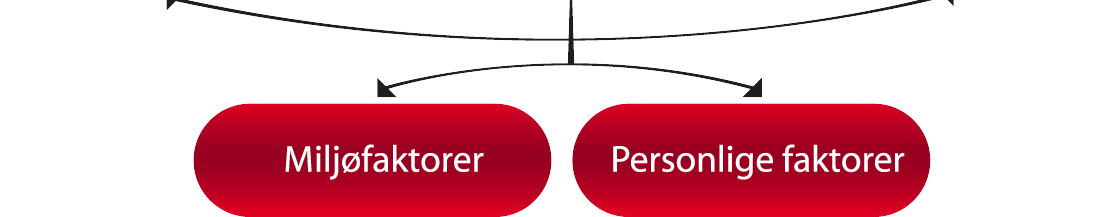 FORUTSETNINGER ; ICF (ref WHO) -diagnose -Muskelstyrke -Bevegelsesutslag -Utholdenhet -Tretthet -Svimmelhet -Søvnproblemer -Økonomi i familien -Familieforhold