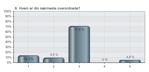 6. Hvem er din nærmeste overordnede?