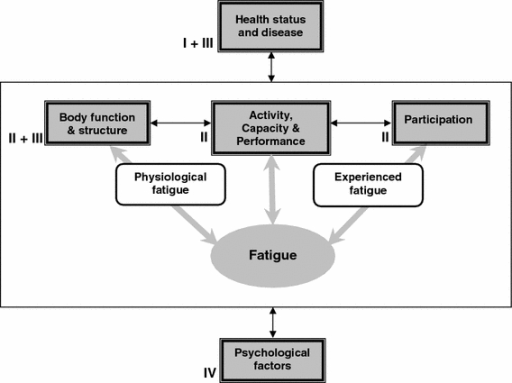 Fatigue i relasjon til ICF de Vries JM et