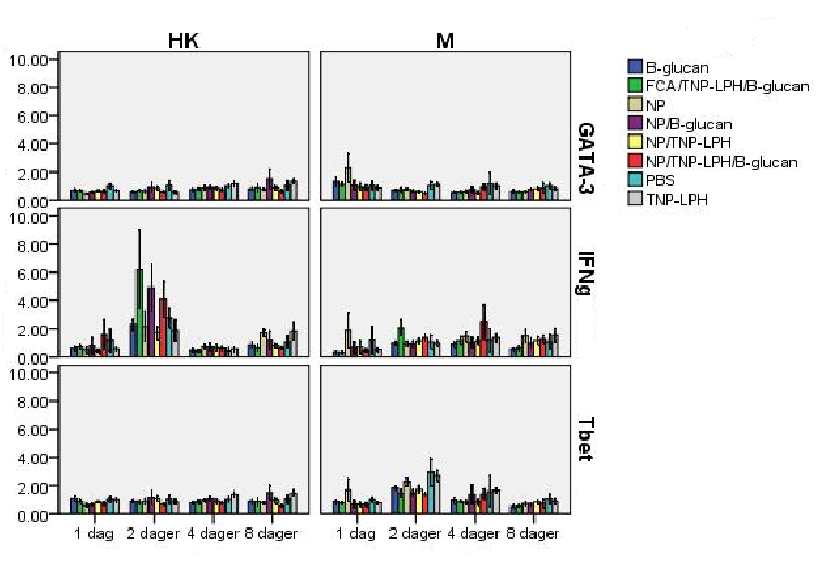 Figur 3.5. Real-time PCR. Figuren viser antall ganger økning i mrna-transkripter av GATA-3, IFNγ, og T-bet i hodenyre og milt ved 1, 2, 4 og 8 dager etter immunisering.