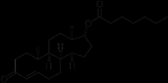 Steran Testosteron Dihydrotestosteron Nandrolon Naturlig forekommende AAS kjennetegnes av at de ikke kan administreres i uforandret form peroralt pga.