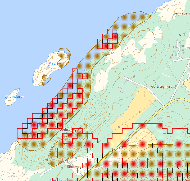 Kartutsnitt fra NVE som viser skredutsatte områder i Geitvågen. Svart og rød avgrensning viser til henholdsvis steinsprang og snøskred, mens brun avgrensning er aktsomhetsområder. 5.