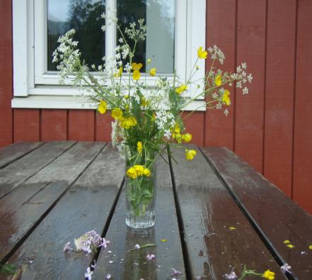 VURDERING Halvårsplanen vurderes hvert halvår. Barna må tas med i planleggings- og vurderingsarbeidet på avdelinga.